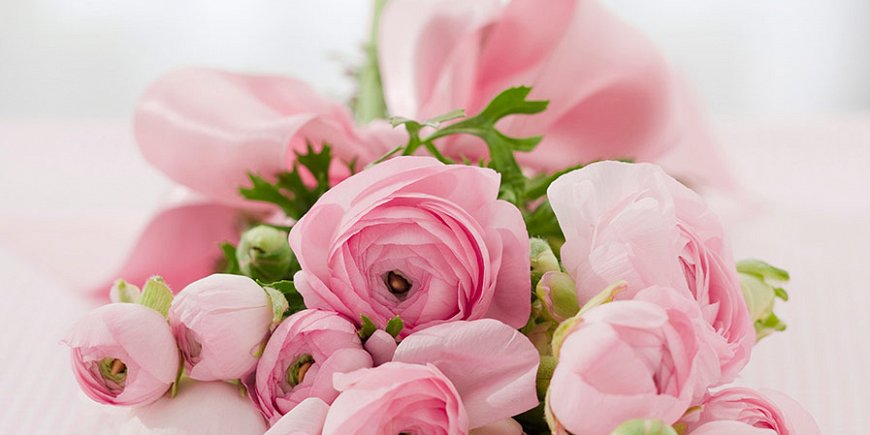 Springfield Florist Of Chelmsford Essex Chelmsford Florist Buy Flowers Online Bouquets Funeral Sympathy Flowers